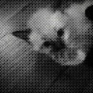 Meet your Posher, Kristi